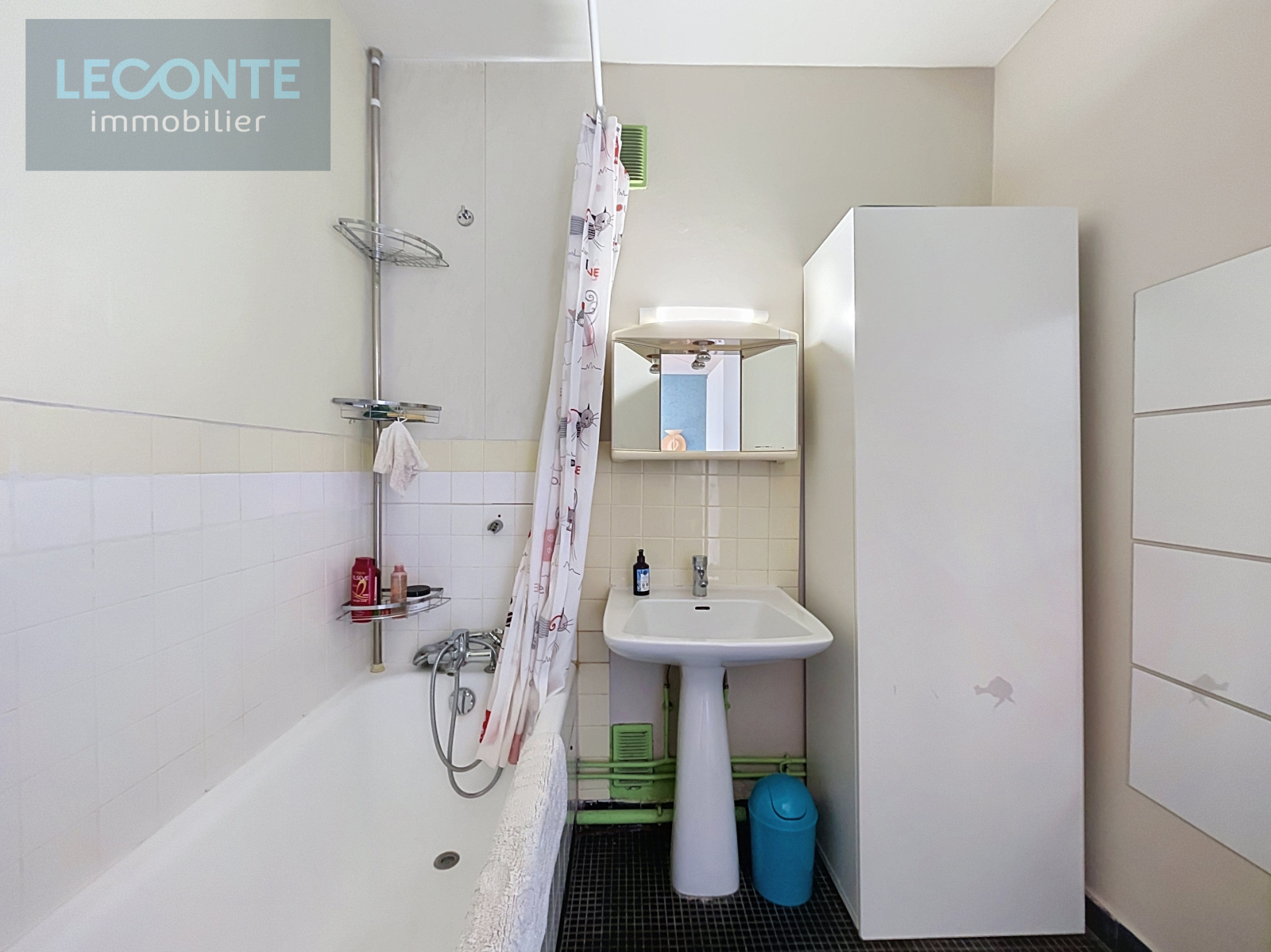 Image_5, Appartement, Montrouge, ref :V10007375